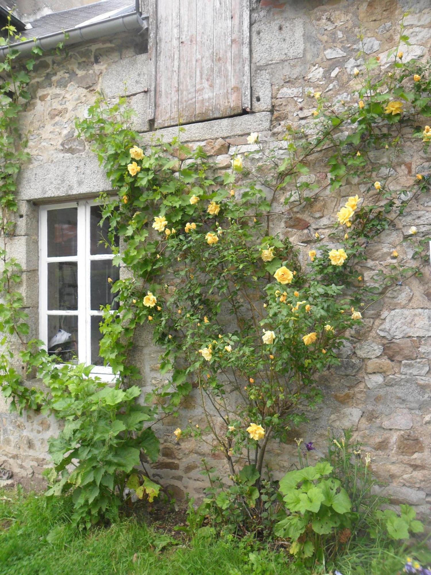 Hotel Les Hautes Loignieres Pre-en-Pail-Saint-Samson Exterior foto